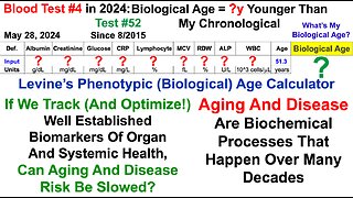 17.5y Younger Biological Age (Blood Test #4 In 2024, Full Lab Test Analysis)