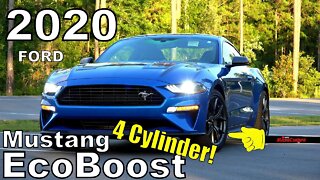 2020 Ford Mustang EcoBoost High Performance - Ultimate In-Depth Look in 4K