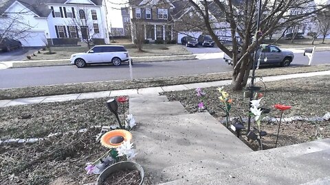 Front Porch Nature Camera 🌲