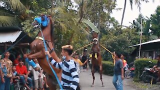 Prancing Horse Parade