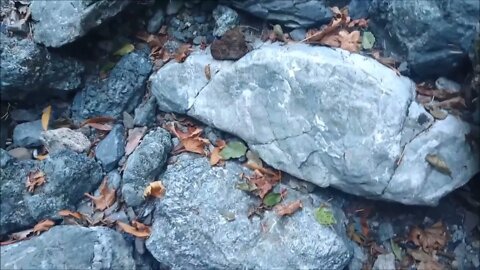 Stevens Creek Main Branch above Waterwheel Creek, Initial Recon