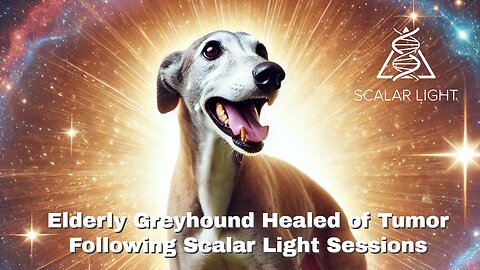 Elderly Greyhound Healed of Tumor Following Scalar Light Sessions