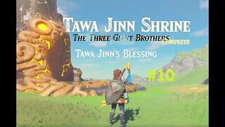 [BOTW] Tawa Jinn Shrine Playthrough: The Three Giant Brothers Shrine Quest