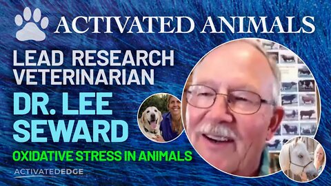 Oxidative Stress In Animals - Lead Research Veterinarian, Dr Lee Seward & Petandim Nrf2 For Animals