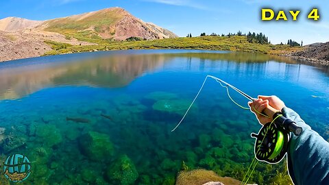 Fly Fishing the BEST LAKE IN THE WORLD?? (Big Trout Everywhere)