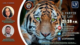 "El Año del Tigre" T2 Ep. 04 Actualidad, Contingencia e Irreverencia Salvaje.