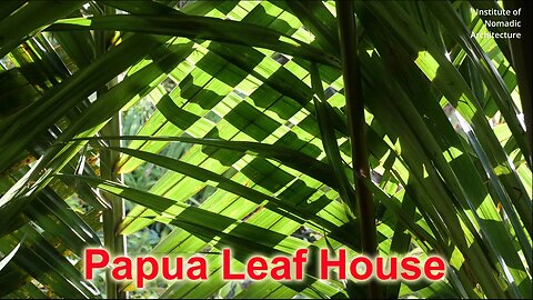 A House for Cannibals - Leaf Hut from New Guinea