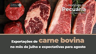 Exportações de carne bovina no mês de julho e expectativas para agosto com Hyberville Neto
