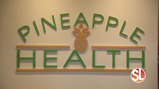 Pineapple Health: A deep dive into fat