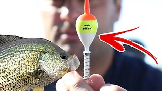 Simple Slip Bobber and Live minnow rig for fall crappie (30 day challenge ep. 12)