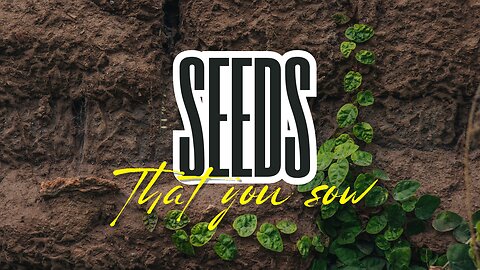 What You Sow You Will Reap 🌿🕊️