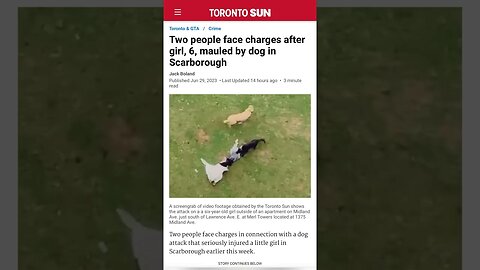 6-year-old girl attacked by two dogs in Toronto