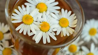 8 Teas with Powerful Health Benefits