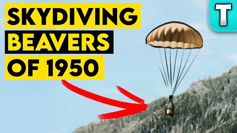 Why Idaho Parachuted Beavers in the 1950s