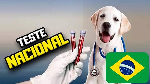 Teste BRASILEIRO de Alergia para Cães | Dr. Edgard Gomes | Alimentação natural para Cães