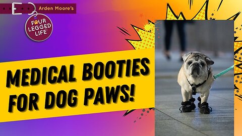 Medical Dog Booties? Finally!