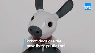 Robot therapy dogs!