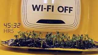 Can Wi-Fi or 5G Signals Stunt Plant, Human or Intelligence Growth? Research Before It Is Too Late!