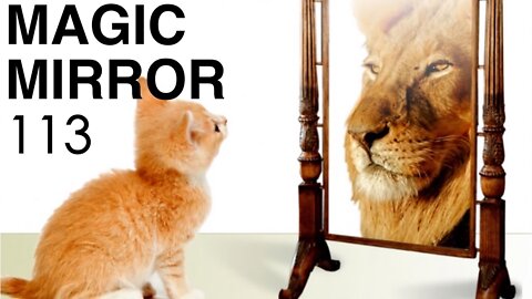 Magic Mirror 113 - End The War Crimes Now