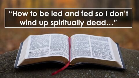 How to Be Led & Fed so I Don't Wind Up Spiritually Dead