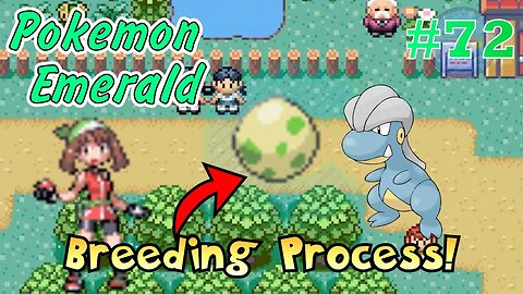 Breeding Process! Pokémon Emerald - Part 72