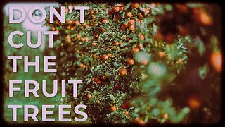 Don't Cut Down the Fruit Trees• (9/14/22)