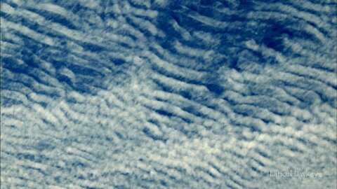 Crazy Cloud Cam | Image Set 109 | Foam Noodles