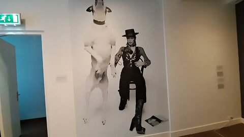 David Bowie Huge Dog Great Dane Maastricht museum Vrijthof Terry O'Neil photographer impression