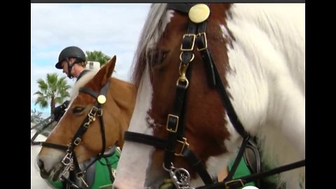 PBSo deputies and horses spread holiday message