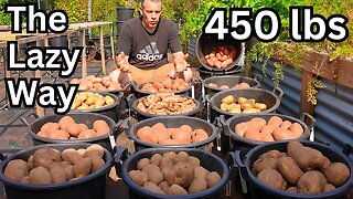 I Grew 450 lbs Of Potatoes, The Lazy Way. Never Dig Again!