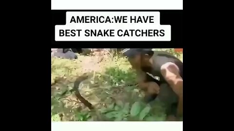 #how to indian catch snake#