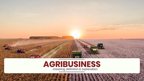 What is AGRIBUSINESS?