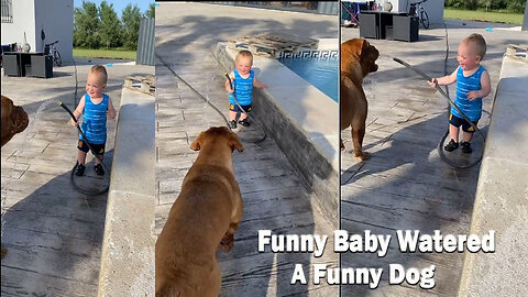 Funny Baby watered a funny Dog