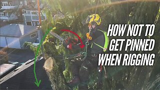 Avoid getting pinned by a branch or log - Rigging techniques for Arborists