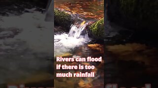 River Sounds And River Facts #Shorts 🏞