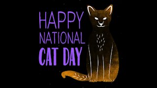 National cat day [GMG Originals]