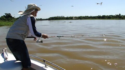 Fishing a bird