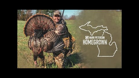 Playing Cat and Mouse with Michigan Turkeys | Mark Peterson Homegrown