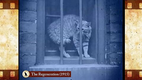 The Regeneration (1915) 🐱 Cat Movies 🎥🐈