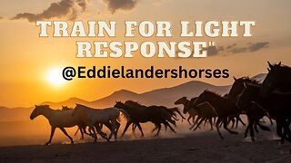 Train for light response