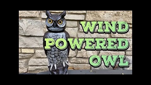 Fake Owl To Scare Away Birds