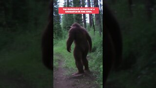 Sasquatch - Most Convincing Photo #shorts