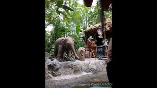 Disney world jungle world Cruise (2021 ) vacation