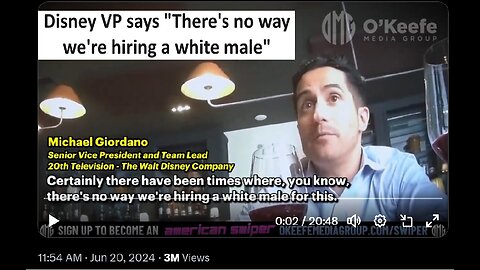 Disney VP said “there’s no way we’re hiring a white male”