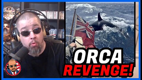 REVENGE OF THE ORCA: Hundreds of Boats Attacked, 3 Sank by Pod of Orcas Getting Revenge 4 Matriarch!