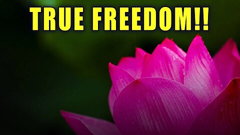 THE LOTUS FLOWER MOTHERBOARD 🌺 This is True Freedom! INFINITE Living Being of Light!