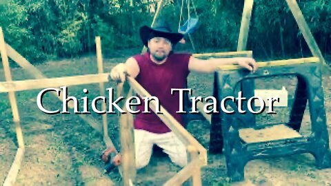 Building a Chicken Tractor | Sovereign Provisions