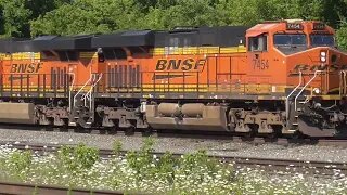 Norfolk Southern Intermodal Train with BNSF Power from Berea, Ohio August 12, 2023