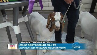 Arapahoe County Fair