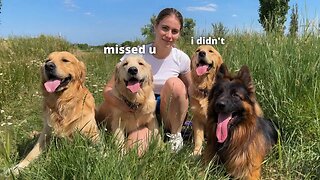 Surprising My Dogs With a Family Reunion